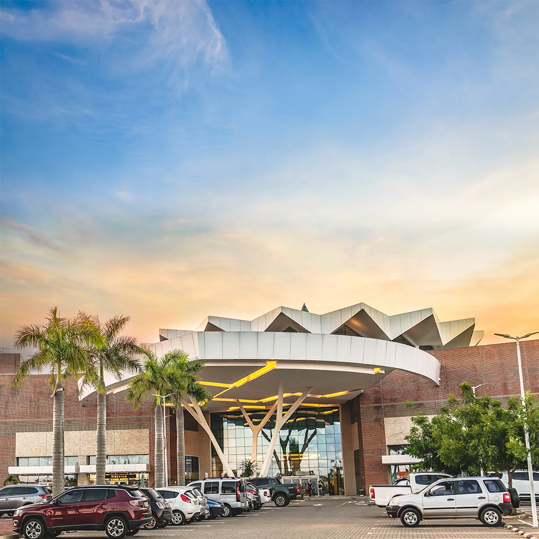 Shopping Bosque dos Ipês - BEBOP branding